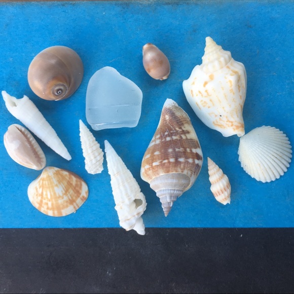 Meet your Posher, Courtney - Picture 5 of 5